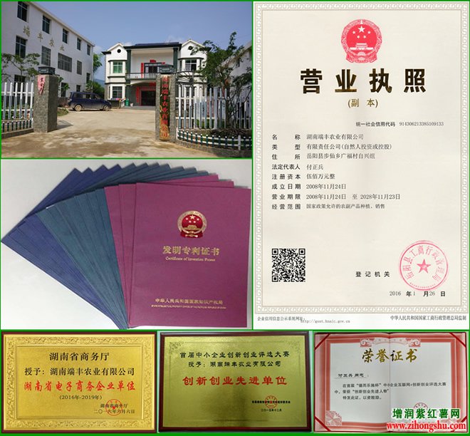 增润紫薯