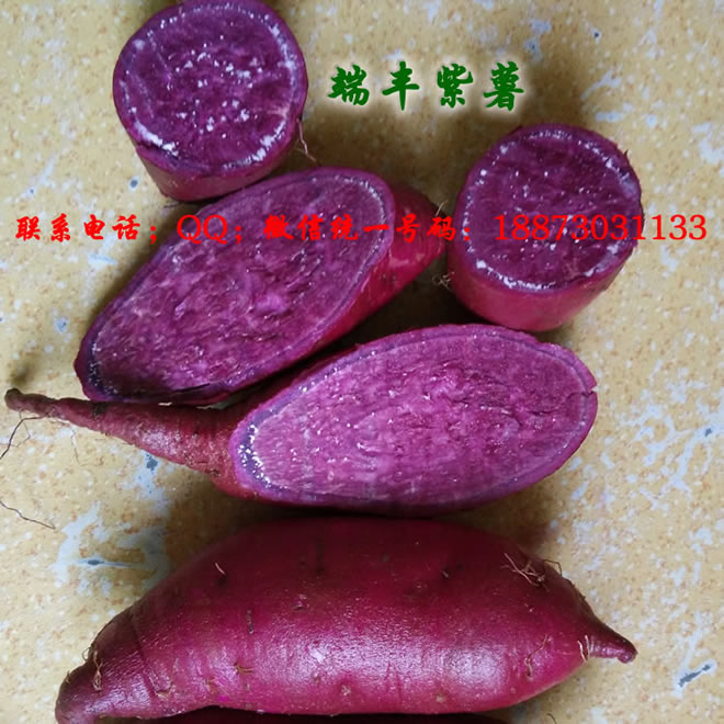 紫薯图片